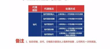 重慶軟件開發 打造高效便捷的品佳人代理下單系統